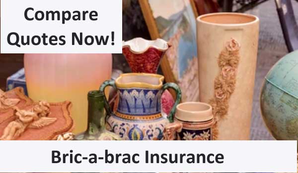 bric-a-brac shop insurance image