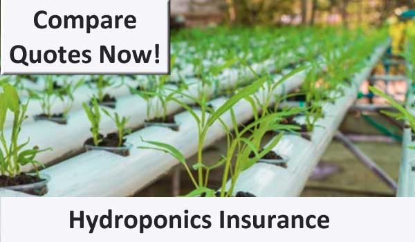 hydroponic shop insurance image