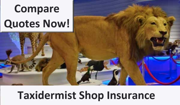 taxidermist shop insurance image