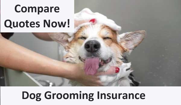 dog groomers shop insurance image