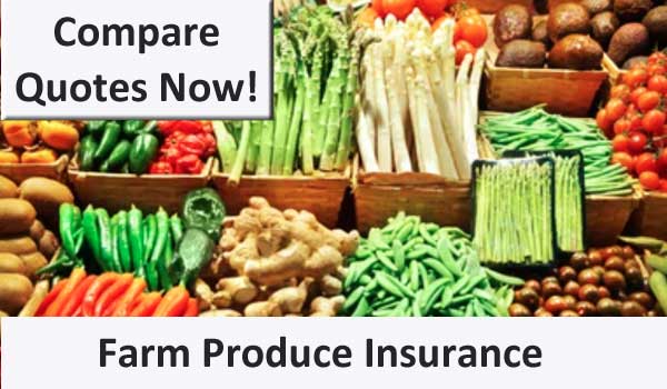 farm produce shop insurance image