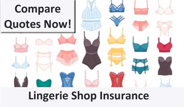 lingerie shop insurance image